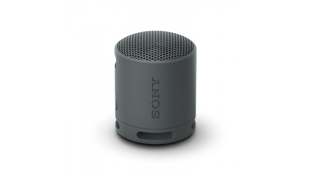 Sony SRSXB100B.CE7 Draagbare Bluetooth Speaker Zwart