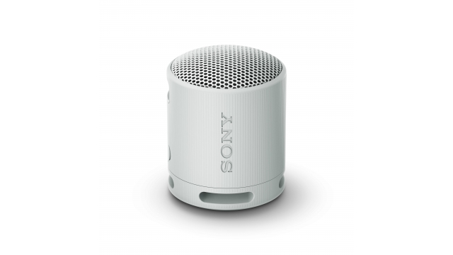Sony SRSXB100H Draagbare Bluetooth Speaker Grijs